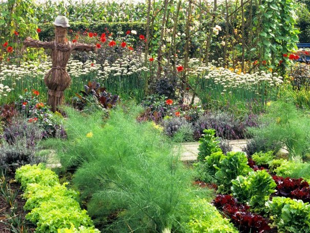 Декоративные клумбы: идеи посадки зелени в огороде (44 фото)