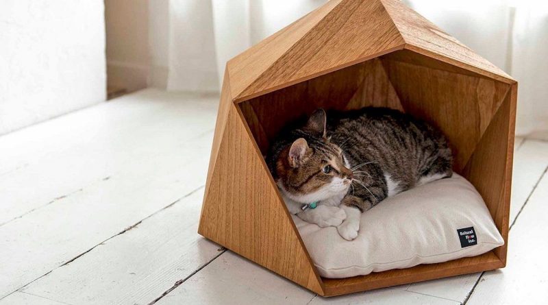5 интерьерных идей если в доме живет кошка