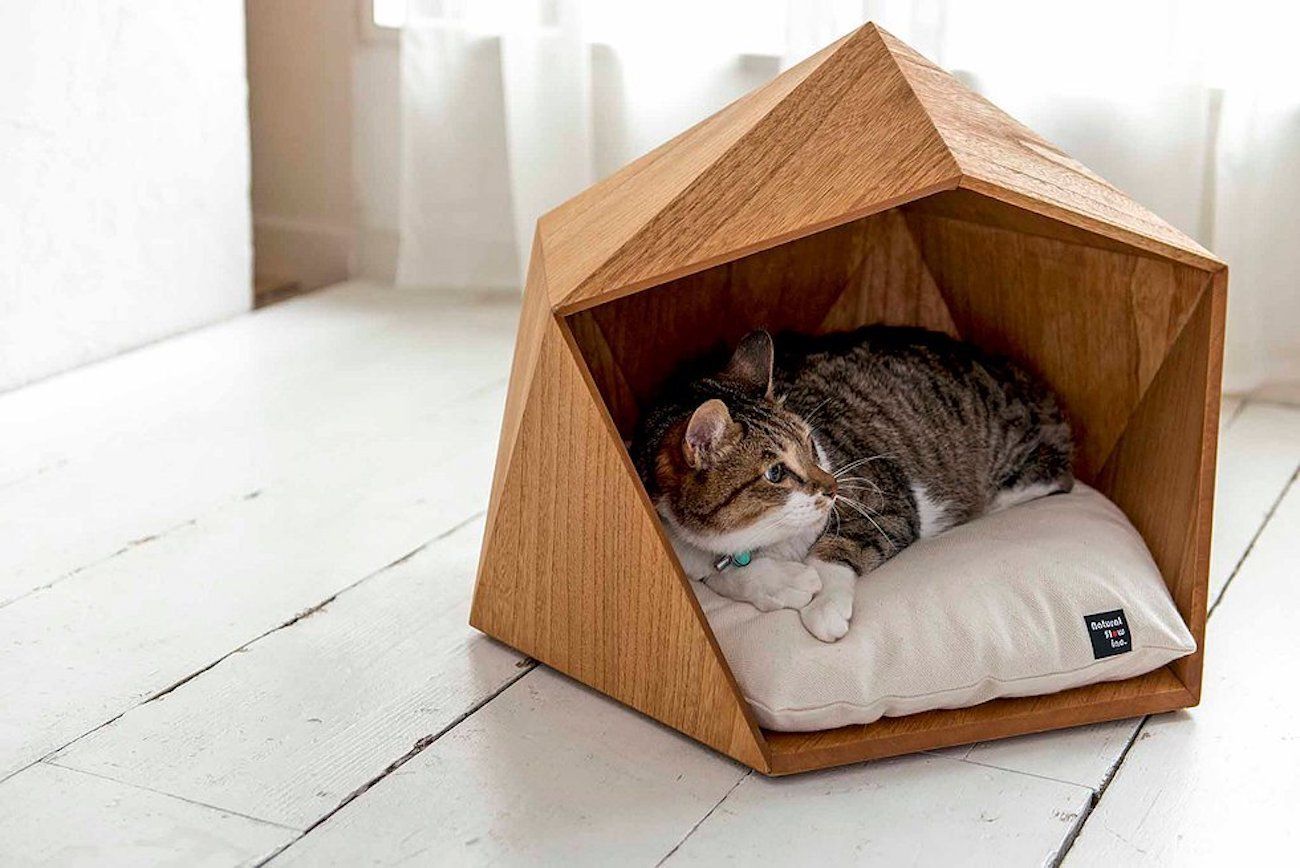 5 интерьерных идей если в доме живет кошка
