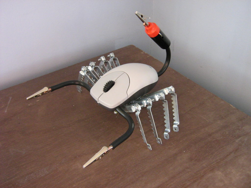 Скорпион из компьютерной мыши