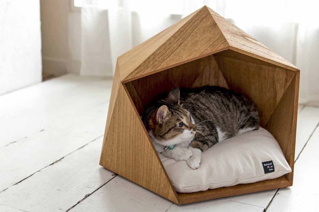 ТОП-5 советов по оформлению квартиры если у вас есть кот