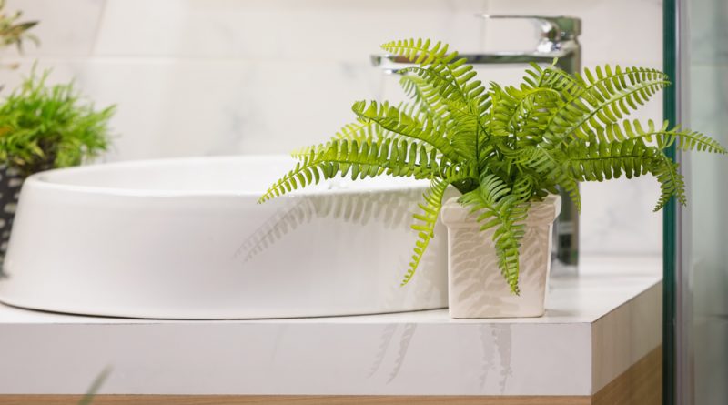 [Растения в доме] 6 растений, которые можно поставить даже в ванной комнате