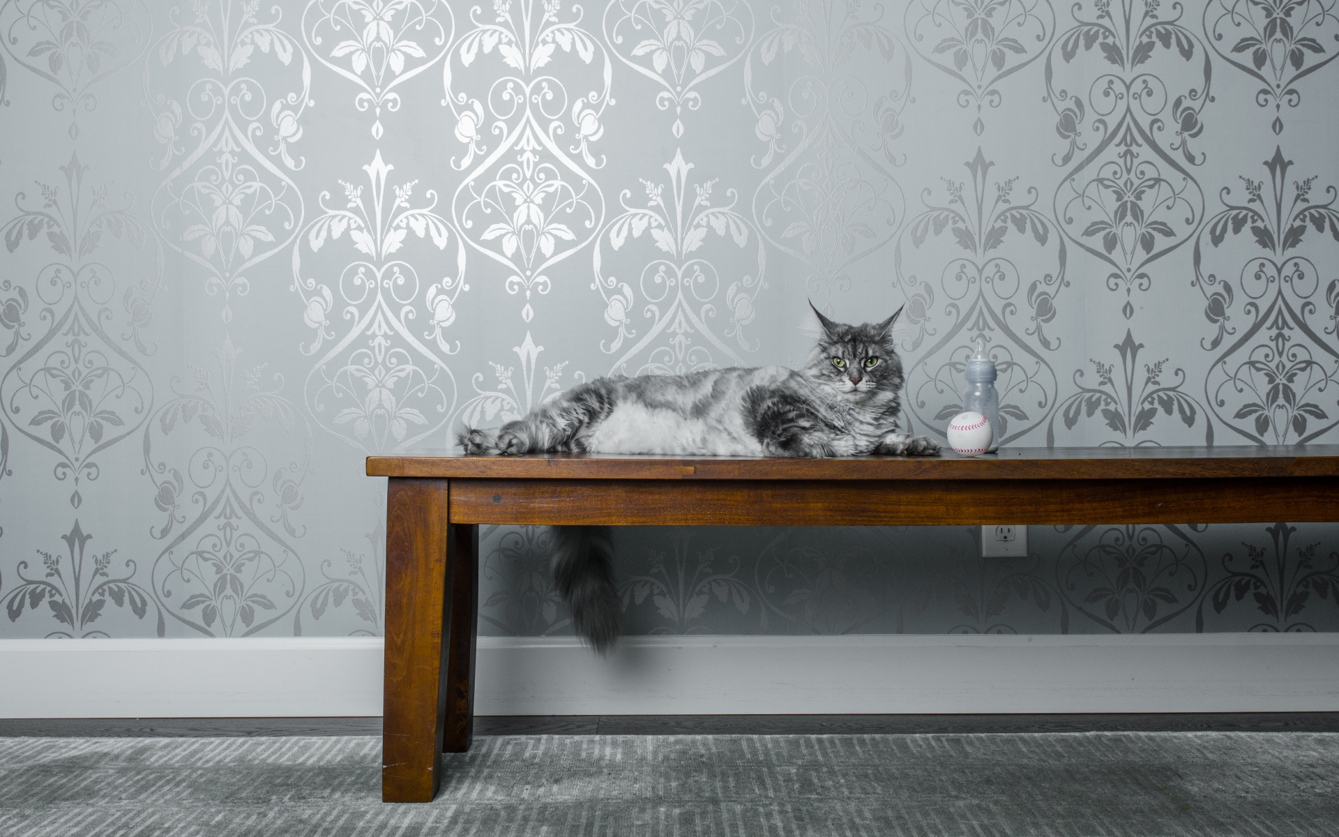 Чем декорировать интерьер если в доме живет кошка?