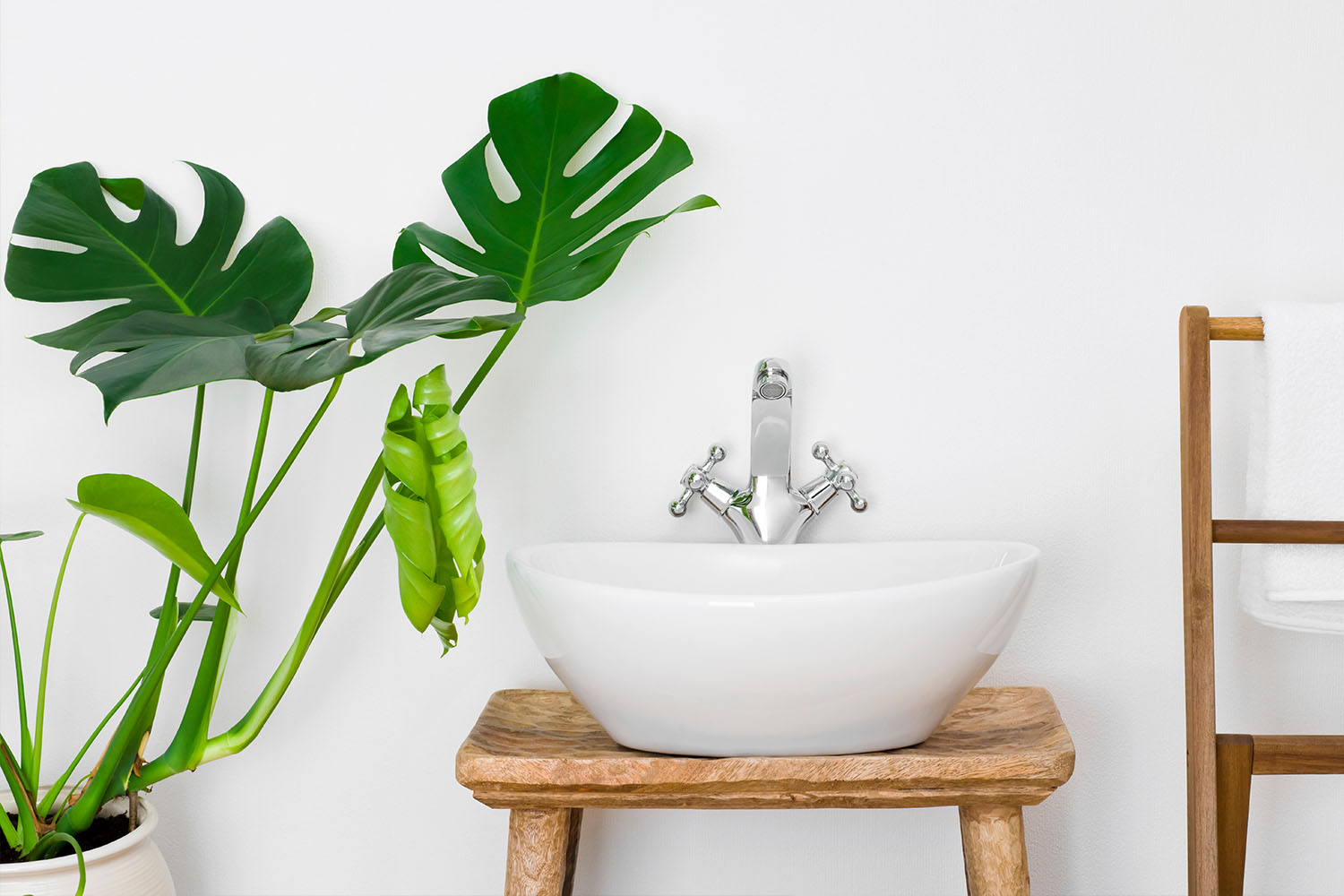 Комнатные растения в интерьере: для кухни, гостиной и ванной