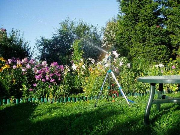 Как выбрать насос для полива огорода