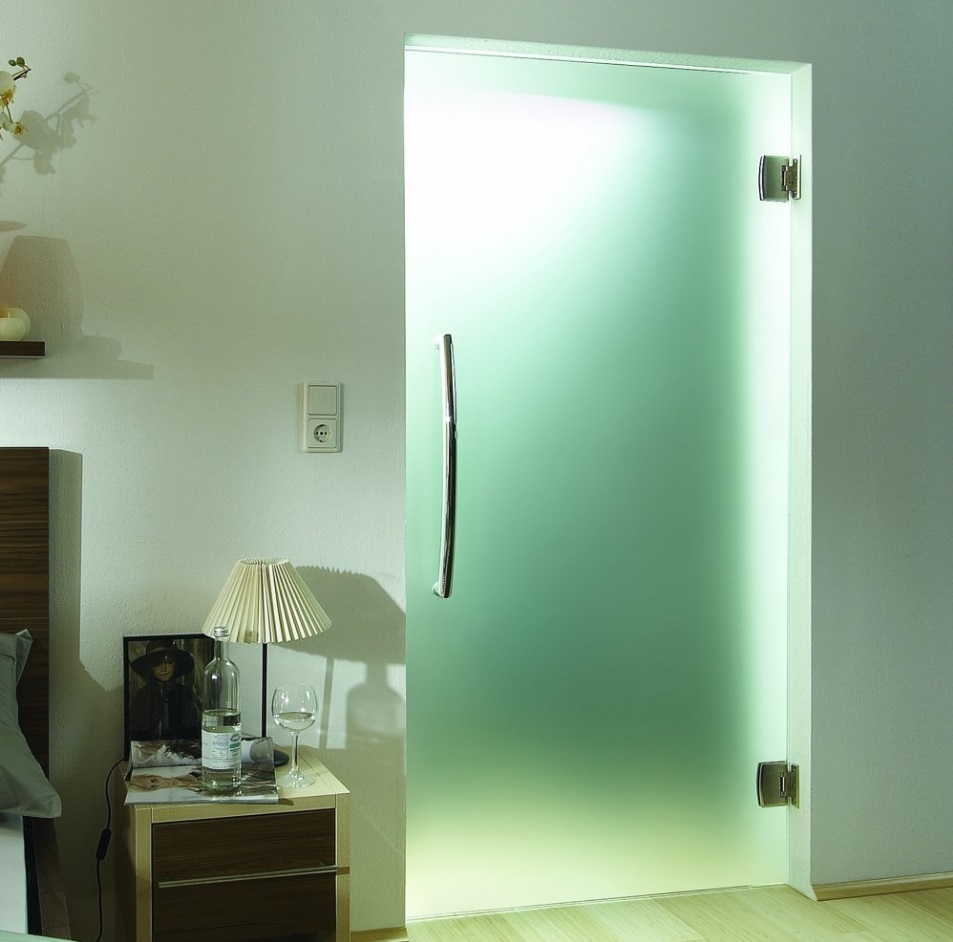 Выбор стеклянной двери в ванную: как сохранить интим?