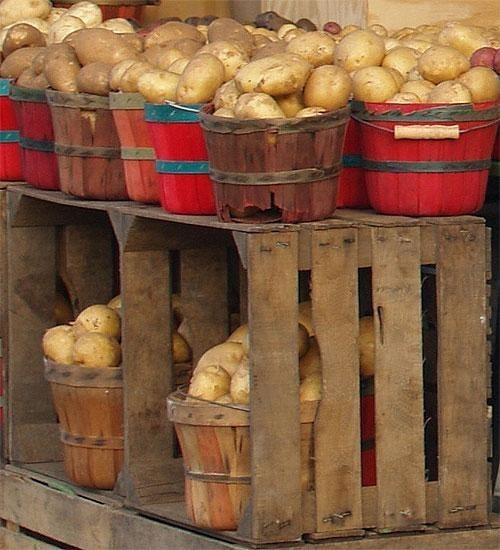 Ящик для картошки на балконе своими руками (фото)		