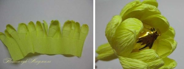 Как сделать цветы из гофробумаги (60 фото)