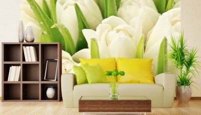 Фотообои с тюльпанами