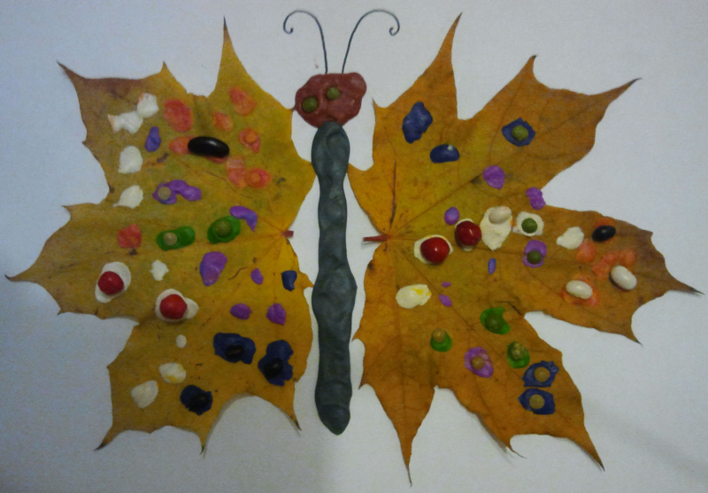Аппликация "Бабочка" из листьев: трафареты и шаблоны с фото и видео