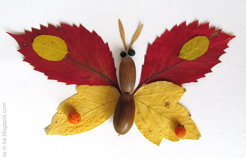 Аппликация "Бабочка" из листьев: трафареты и шаблоны с фото и видео