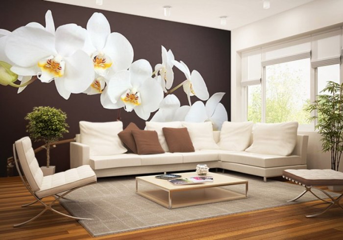 Обои для стен с орхидеями, используем в интерьере цветочную тематику