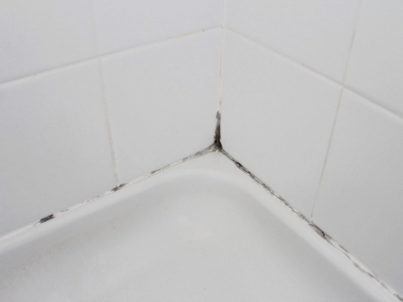 Как убрать плесень в ванной на герметике?