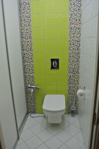 Дизайн туалета (108 фото)