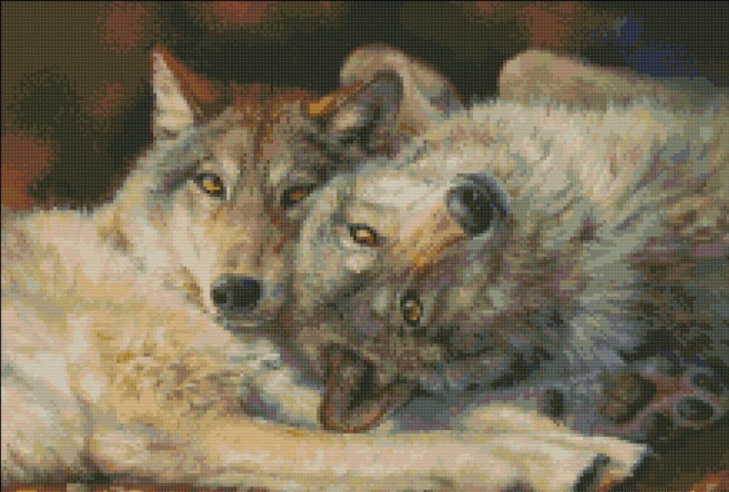 Вышивка крестом волки: схемы пары, наборы Екатерины Волковой, авторские и бесплатные, счастливый белый