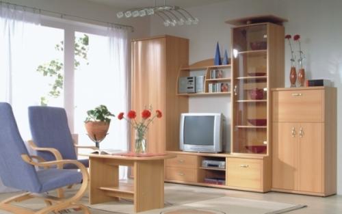 Мебель для гостиной. Как и какую мебель выбрать для гостиной? Фото