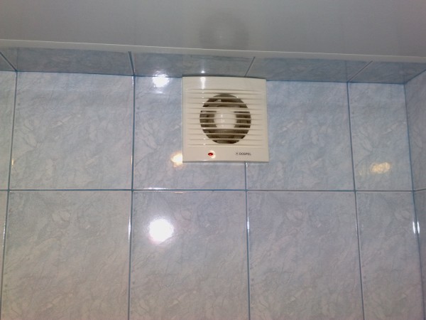 Эффективные методы борьбы с насекомыми в ванной комнате