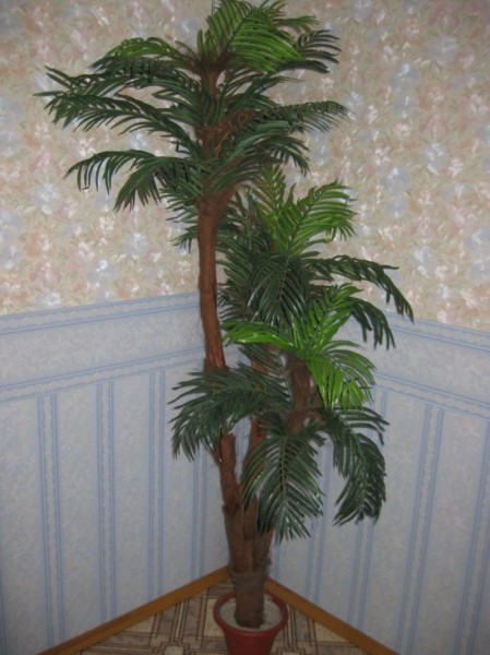 Декоративное дерево в интерьере - 75 фото вариантов дизайна