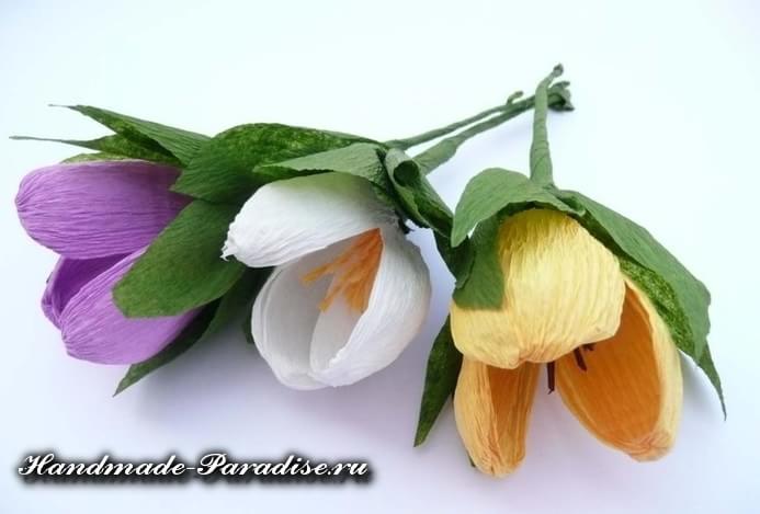 Весенние цветы из гофрированной бумаги