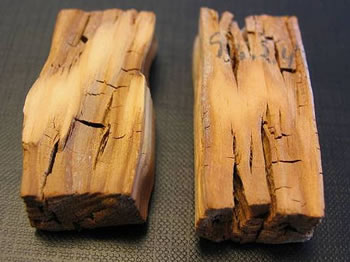 Как можно остановить и ускорить гниение древесины?