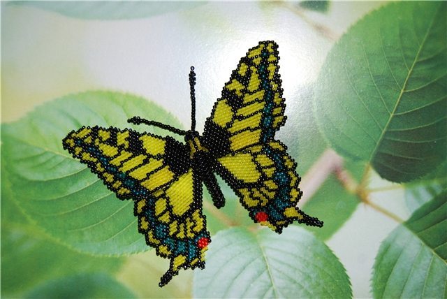 Объемная бабочка своими руками на открытку из цветной бумаги