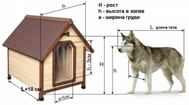 Пошаговая технология строительства будки для собаки своими руками