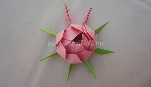 Лотос из бумаги: мастер-класс по оригами с фото и видео