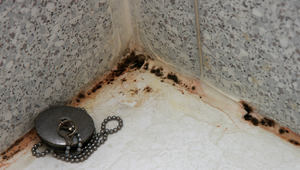 Появилась черная плесень в ванной, как от нее избавиться
