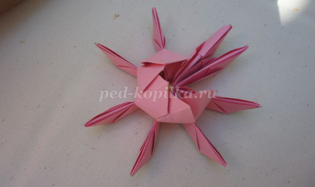 Лотос из бумаги: мастер-класс по оригами с фото и видео