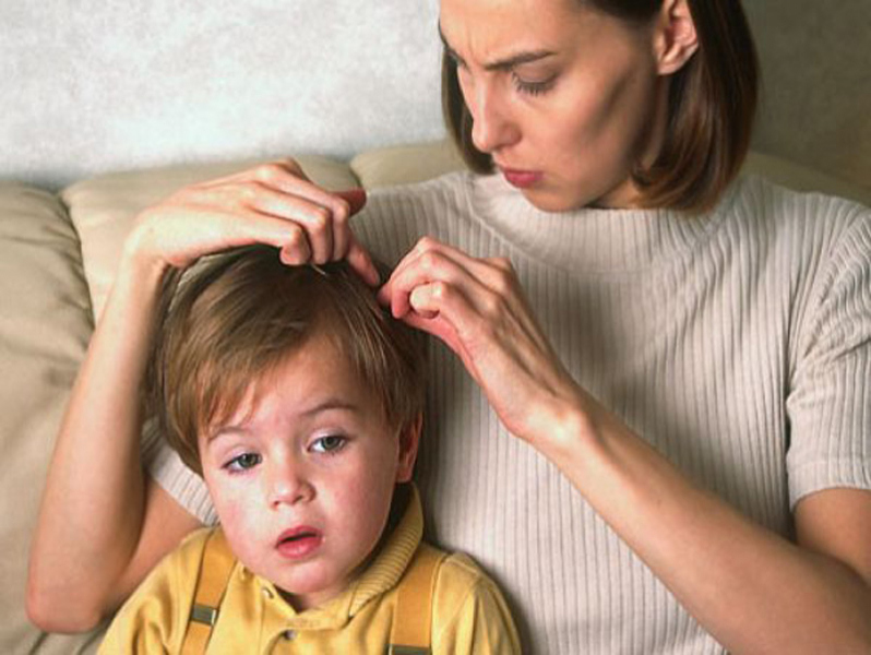 									Как вывести вши и гнид в домашних условиях у ребенка и взрослого								