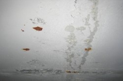 Потолок под покраску своими руками: подготовка к работе, пошаговая инструкция		