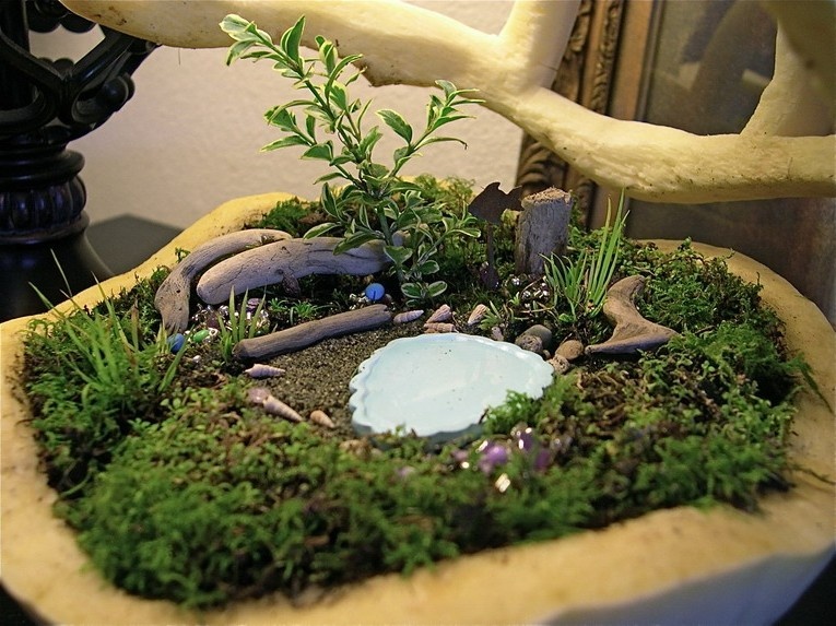Сады в миниатюре: как сделать мини-сад своими руками и какие они бывают