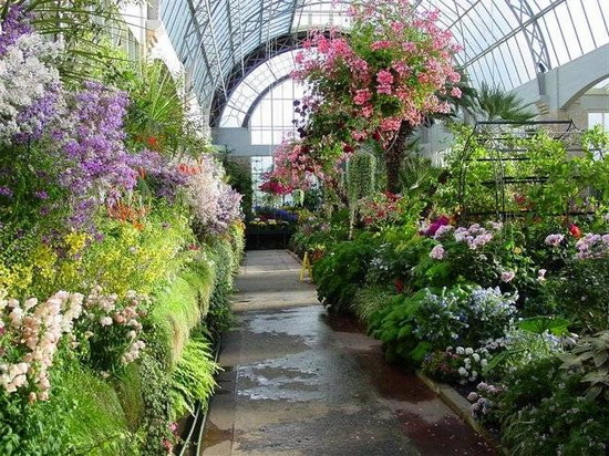 Как создать зимний сад и какие цветы и растения там посадить (25 фото)
