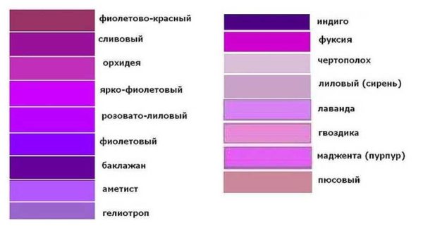 С чем сочетается фиолетовый цвет в интерьере