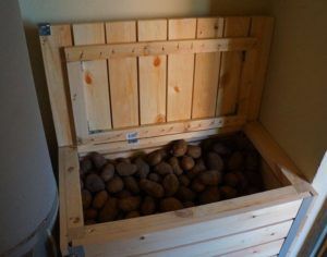 Как хранить картошку на балконе зимой