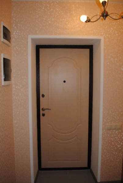 Как выбрать вторую входную дверь в квартиру