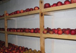 Хранение яблок на балконе и лоджии
