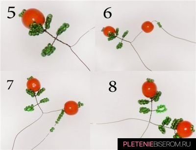 Апельсиновое дерево из бисера: схема плетения своими руками с фото