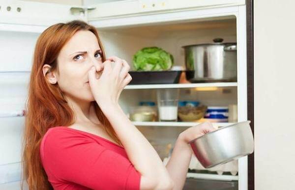 Что делать, если из холодильника воняет