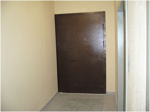 Железная дверь в общий коридор: от выбора до установки