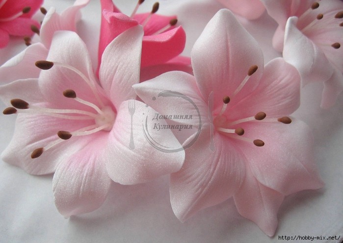 Цветы из мастики своими руками пошагово для свадебных тортов с видео