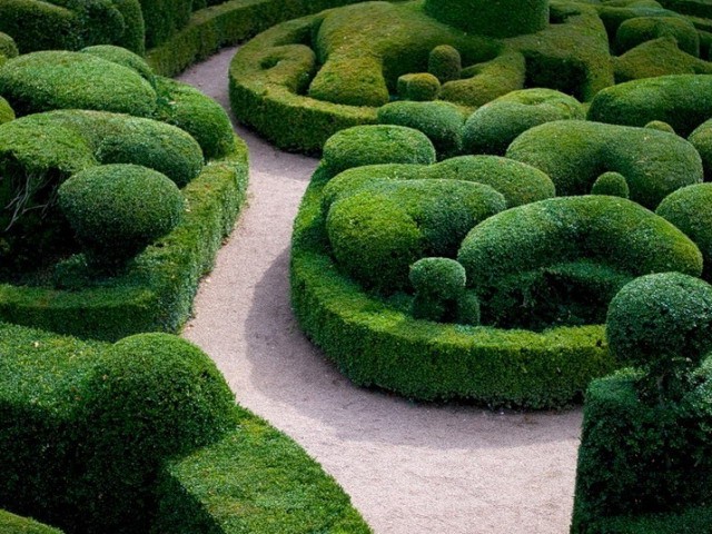  сады: удивительные скульптуры из живых кустарников и растений .
