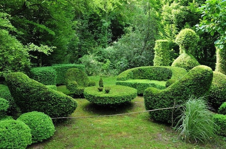  сады: удивительные скульптуры из живых кустарников и растений .