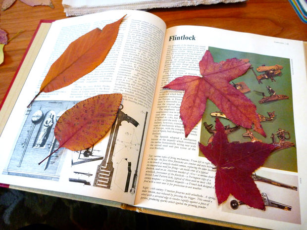 Панно из листьев своими руками на тему осень с фото и видео