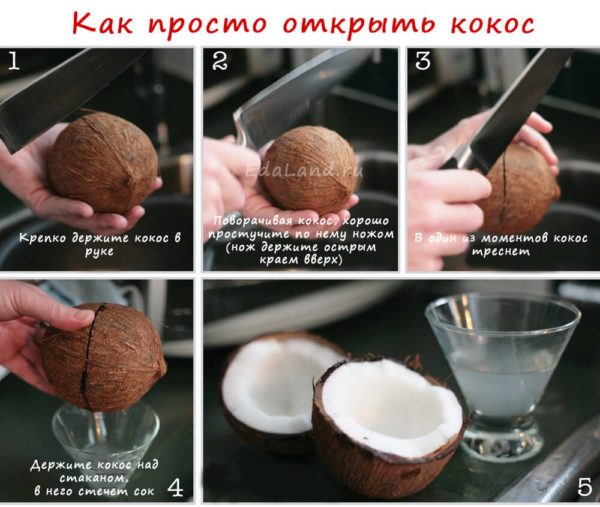 Как выбирать, чистить и хранить кокос