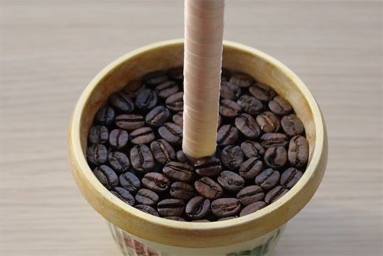Топиарий из кофе своими руками: мастер-класс по подсолнуху с фото и видео