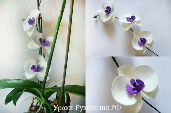 Мастер-класс по фоамирану: орхидея, георгин и мак с фото и видео