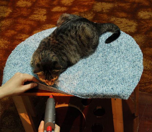Лазалка для кошек своими руками: чертежи с фото и видео