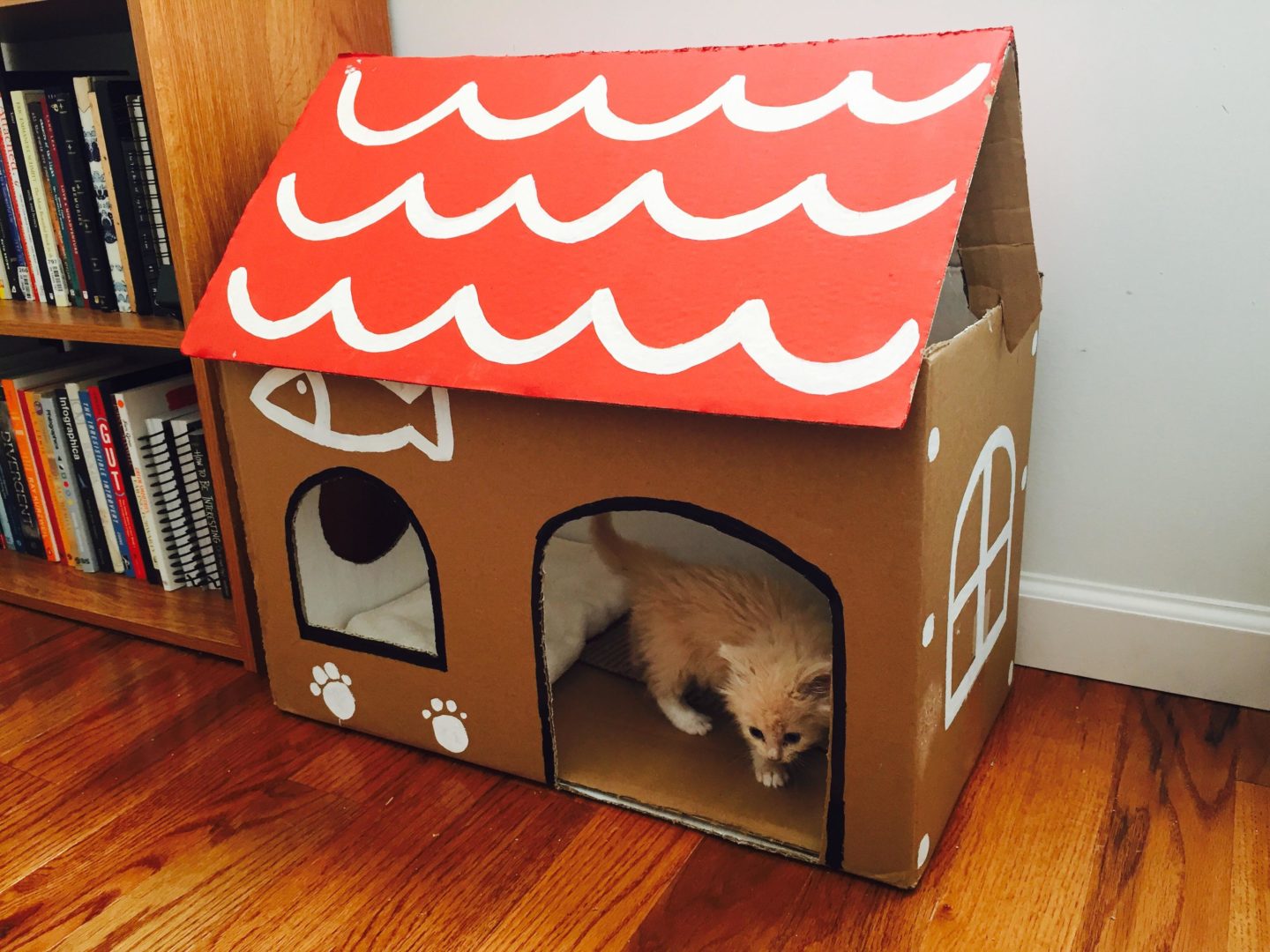 Сделать домик для кошек из коробок. Домик для кошки из коробки. Домики для котят из коробок. Картонные домики для котов. Домик для кошки из картонных коробок.