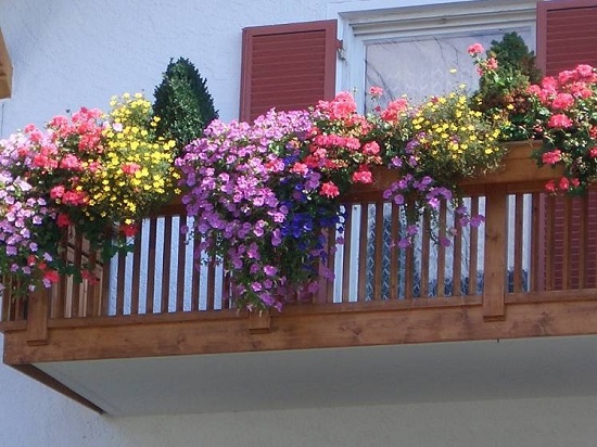 Выращиваем цветы на балконе в ящиках, горшках и кашпо!
